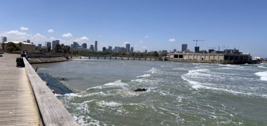 בין חצי אי לנמל: הסודות של נמל תל אביב