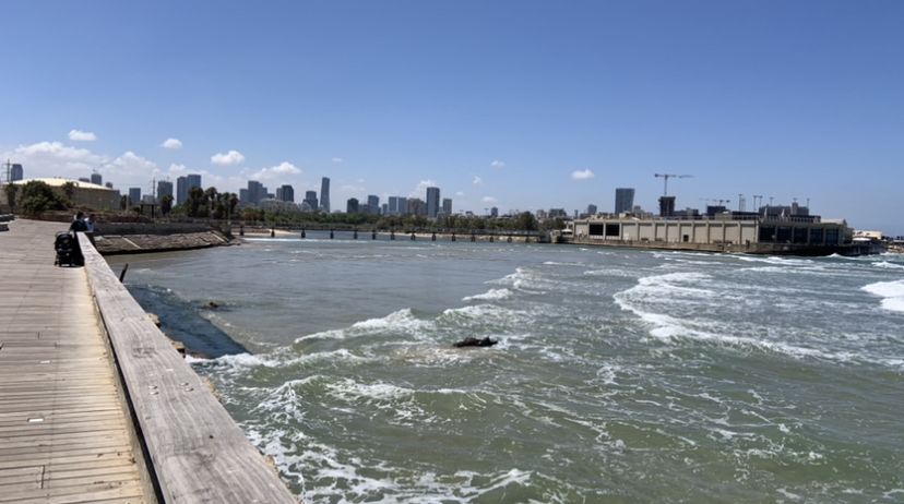 בין חצי אי לנמל: הסודות של נמל תל אביב