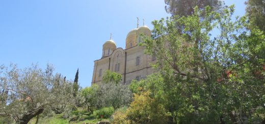 ירושלים הירוקה: סיור פסטורלי בכפר עין כרם