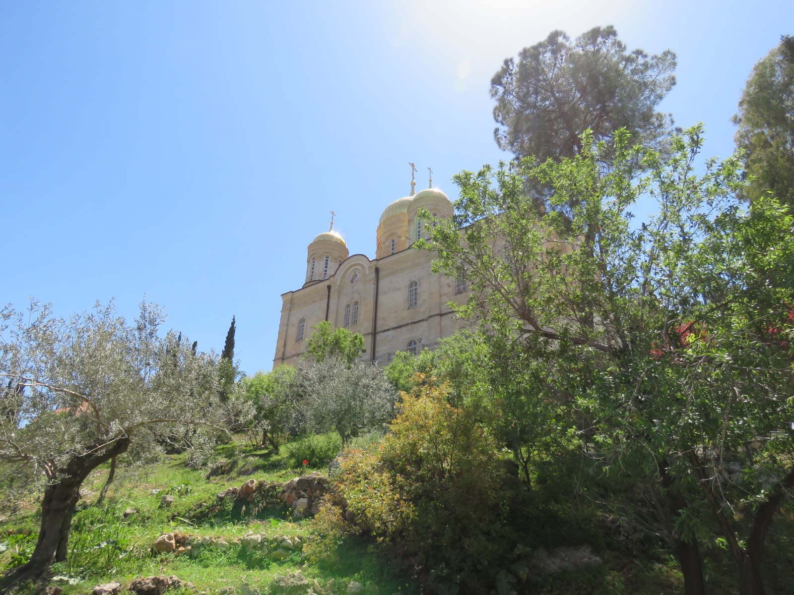 ירושלים הירוקה: סיור פסטורלי בכפר עין כרם