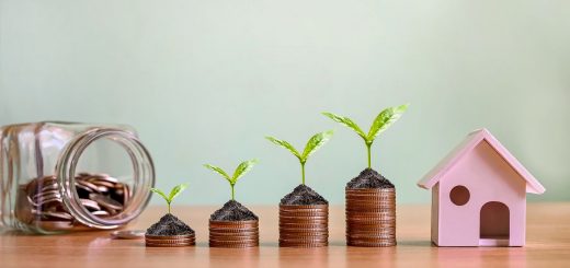 יובל גזית: השקעות קטנות - איפה כדאי להשקיע את הכסף?