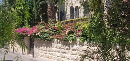 מושבה כפרית בלב העיר: סיור בוקר ציורי וקליל בירושלים