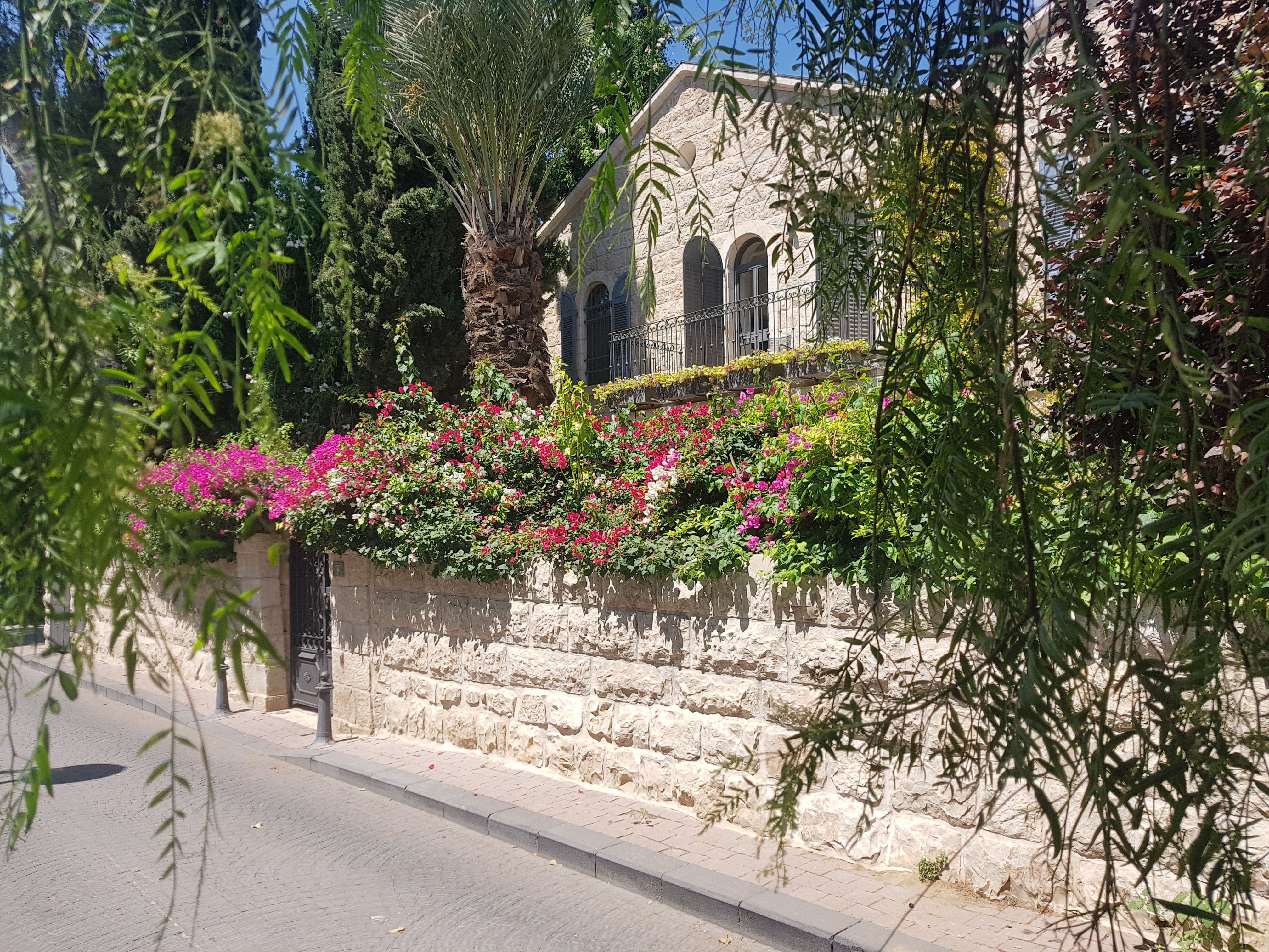 מושבה כפרית בלב העיר: סיור בוקר ציורי וקליל בירושלים