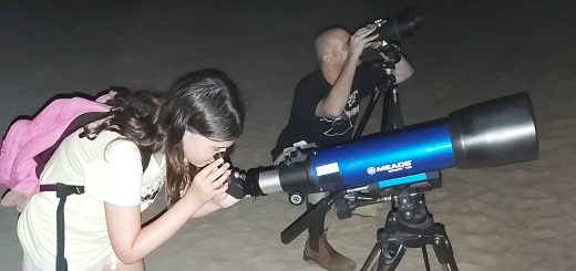 לאור ירח: צפייה בטלסקופ וטיול לילה ביער בן שמן