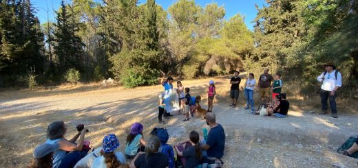 מטיילים בין השבילים: טיול להורים וילדים ביער אשתאול