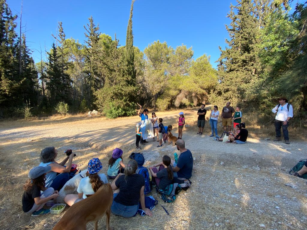 מטיילים בין השבילים: טיול להורים וילדים ביער אשתאול