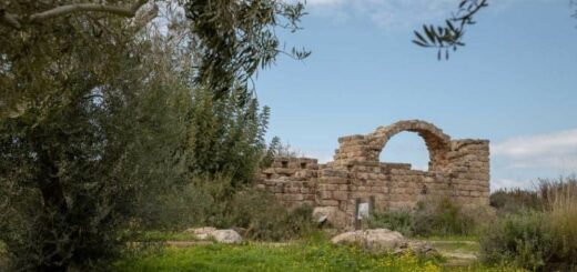 "המרפסת" היפה בישראל: טיול לגבעות רמת הנדיב