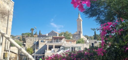 עין כרם: סיור בכפר פסטורלי בלב ירושלים