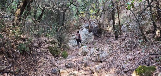 מסע אל הקסם של נחל מורן ונחל נריה בשמורת טבע הר מירון
