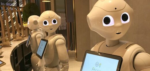יפן: ביקור מרתק במעצמת הרובוטיקה העולמית