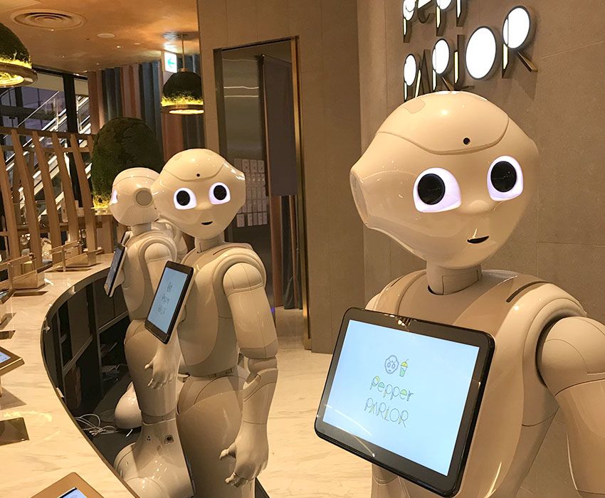יפן: ביקור מרתק במעצמת הרובוטיקה העולמית