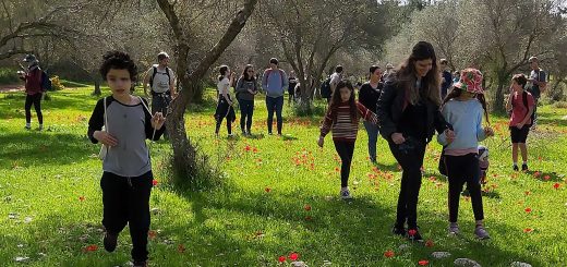 ירוק בעיניים: טיול משפחות ביער בן שמן הירוק והפורח