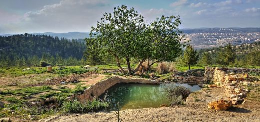 אל המעיין: סיבוב מעיינות וסיפורים בגוש עציון