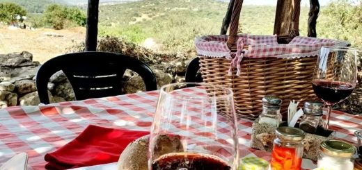 יינות וסיפורים: סיור יקבים במטה יהודה