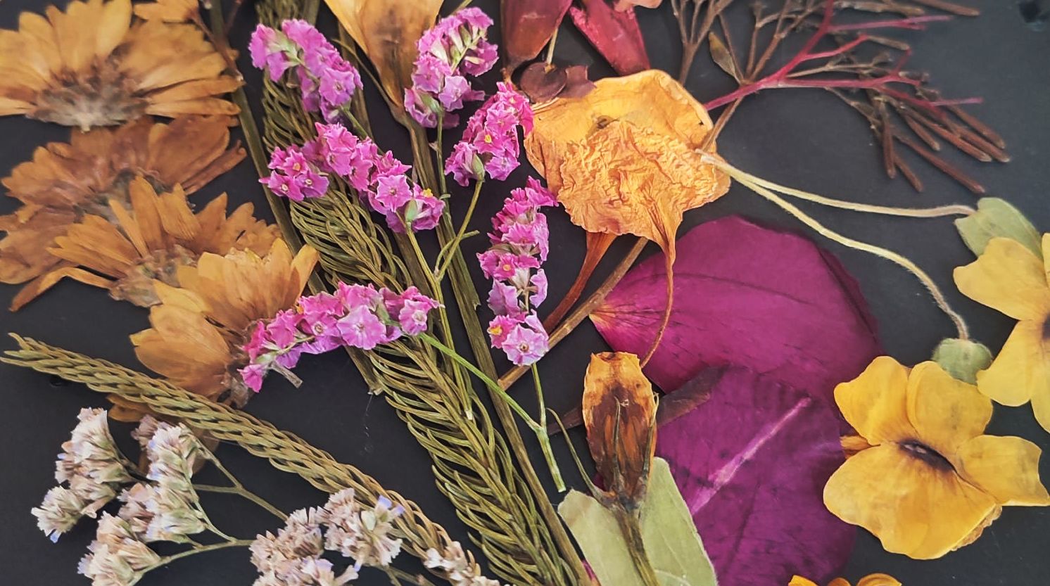 אמנות הפרחים: סדנת פרחים מיובשים ויצירת תמונה מקורית